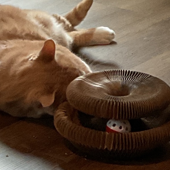 Cat Scratching Board with Bell-Ball - Picture 3 of 5